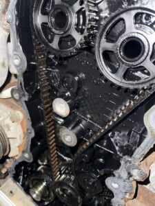 Ford transit wet belt replacement 1