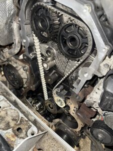 Ford transit wet belt replacement 3